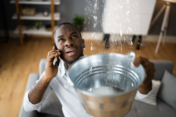 Best Water damage restoration near me  in Enochville, NC