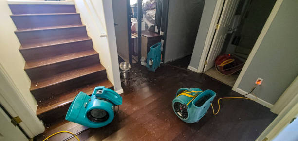 Best Water damage repair service  in Enochville, NC