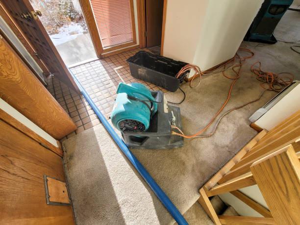 Best Emergency water damage restoration  in Enochville, NC