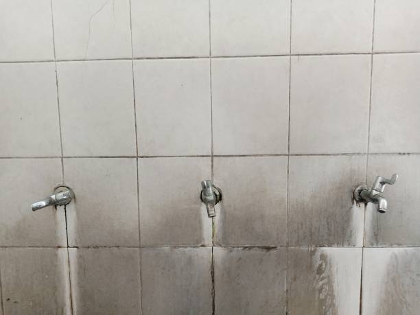 Best Water damage repair service  in Enochville, NC
