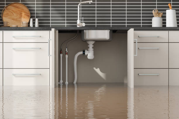 Best Sewage cleanup and water damage restoration  in Enochville, NC