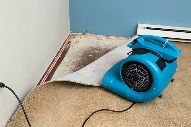 Best Water damage restoration mold remediation  in Enochville, NC